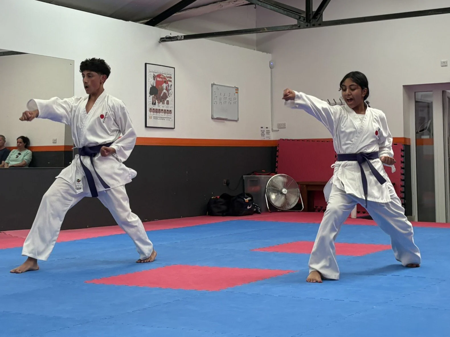 Purple kata.JPEG