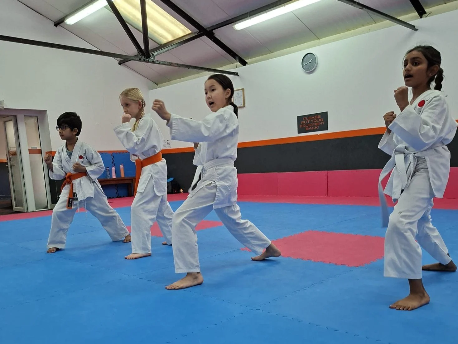 Orange and white belt basics.jpeg