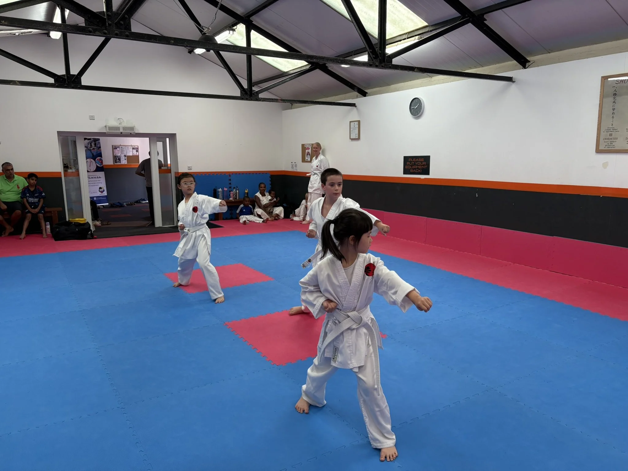 White kihon kata.JPEG