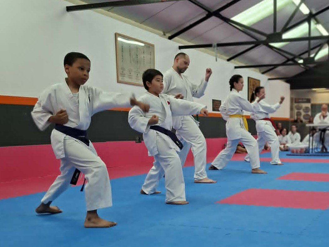 8 - 5th kyu blocks.jpg