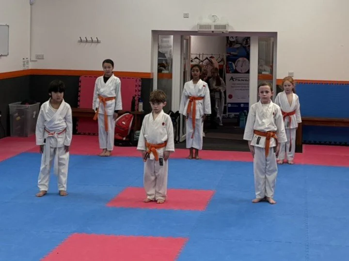 Orange belt kata.JPEG