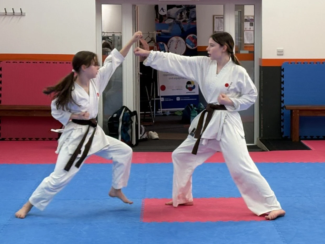 Brown belt 1 step.JPEG