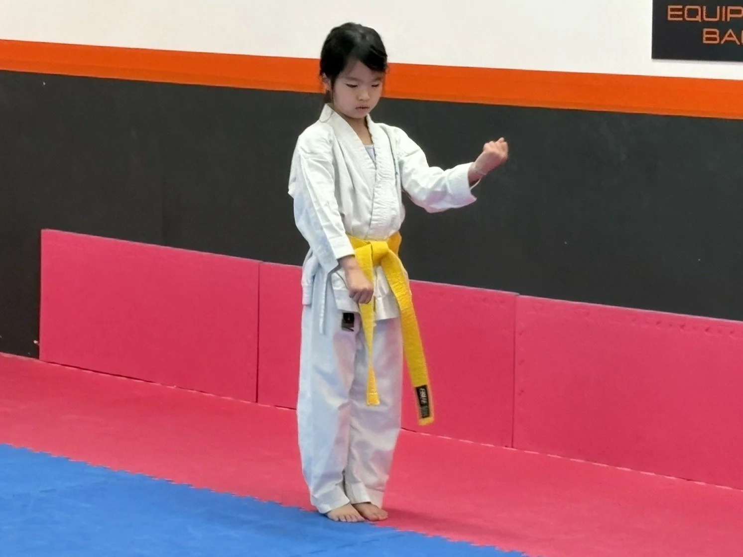 Yellow belt kata.JPEG