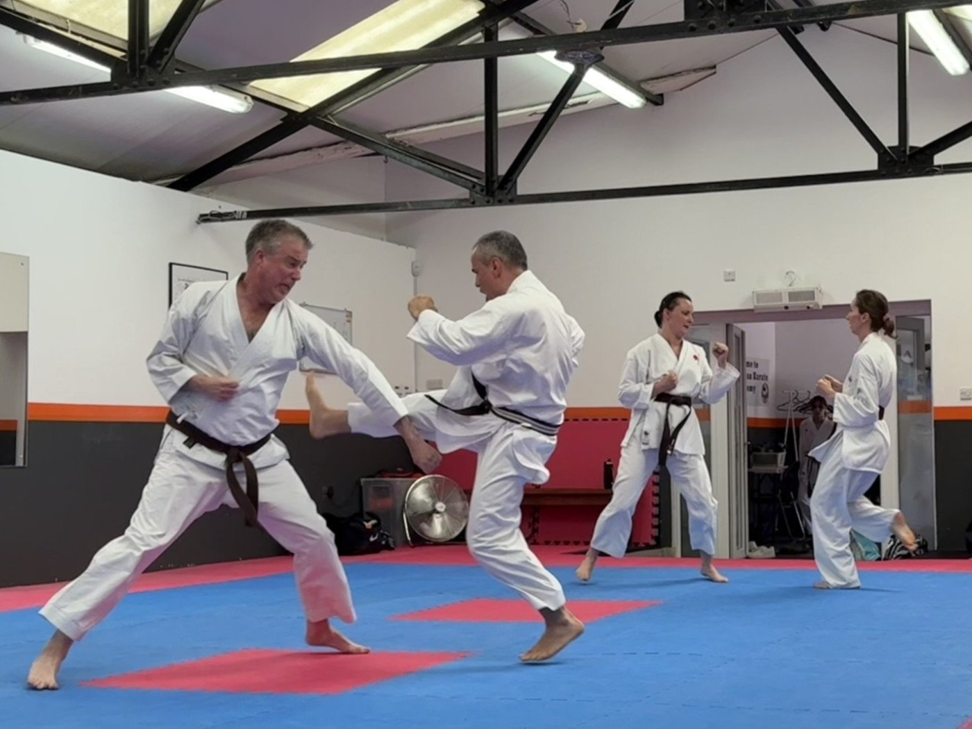 Brown women kumite (3).JPEG