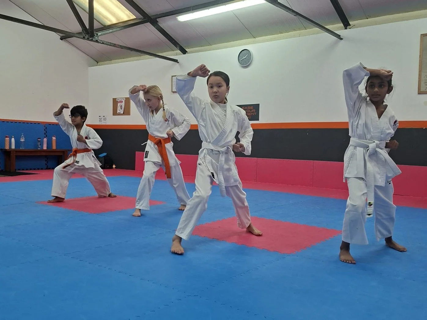 Orange and white belt basics 2.jpeg