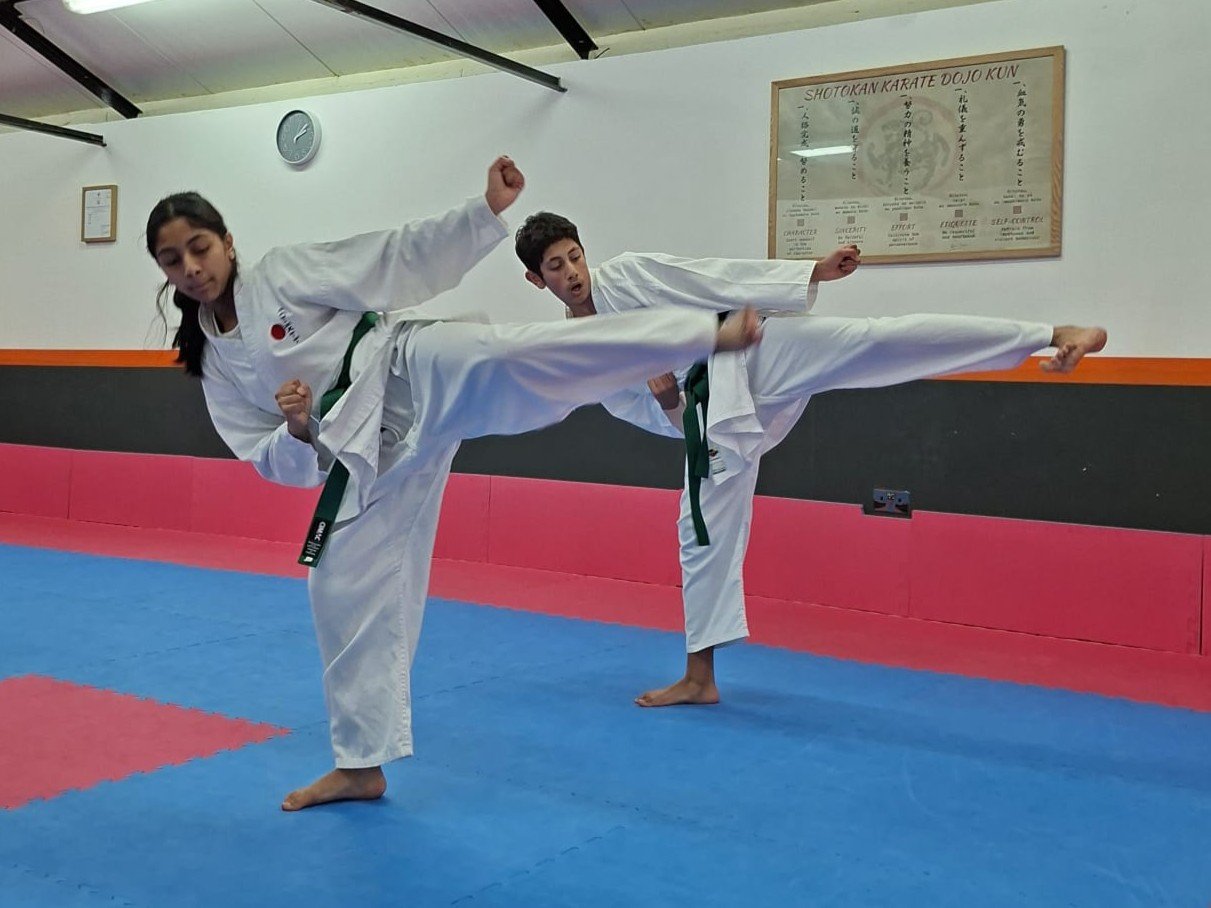 Green belt kick.jpeg