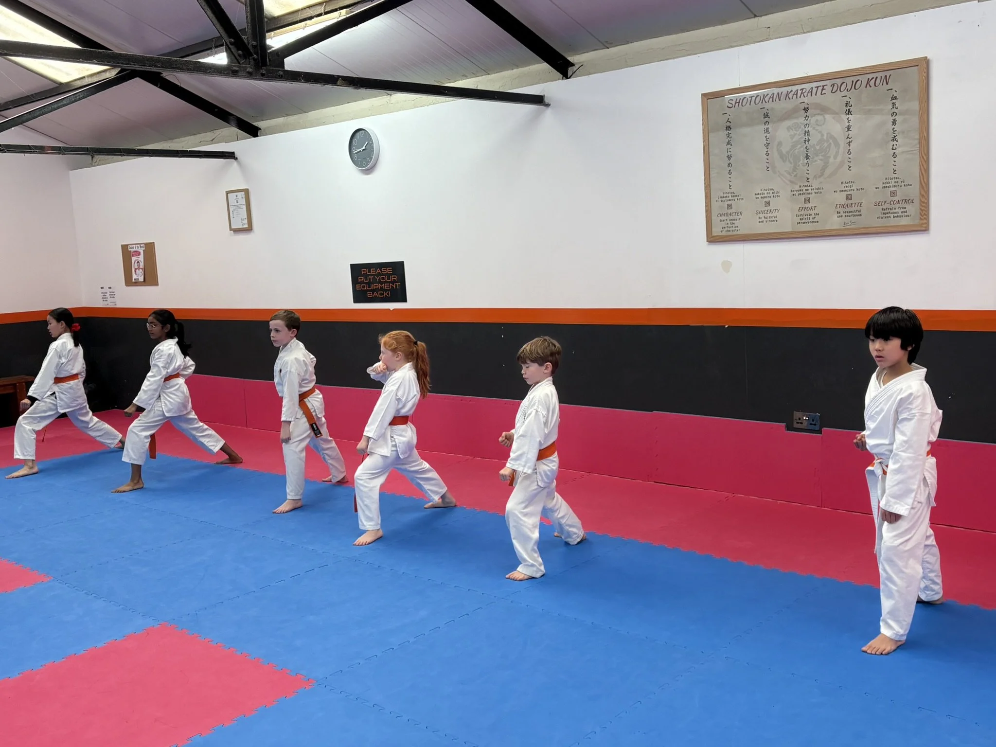 Orange belt kihon 1.JPEG