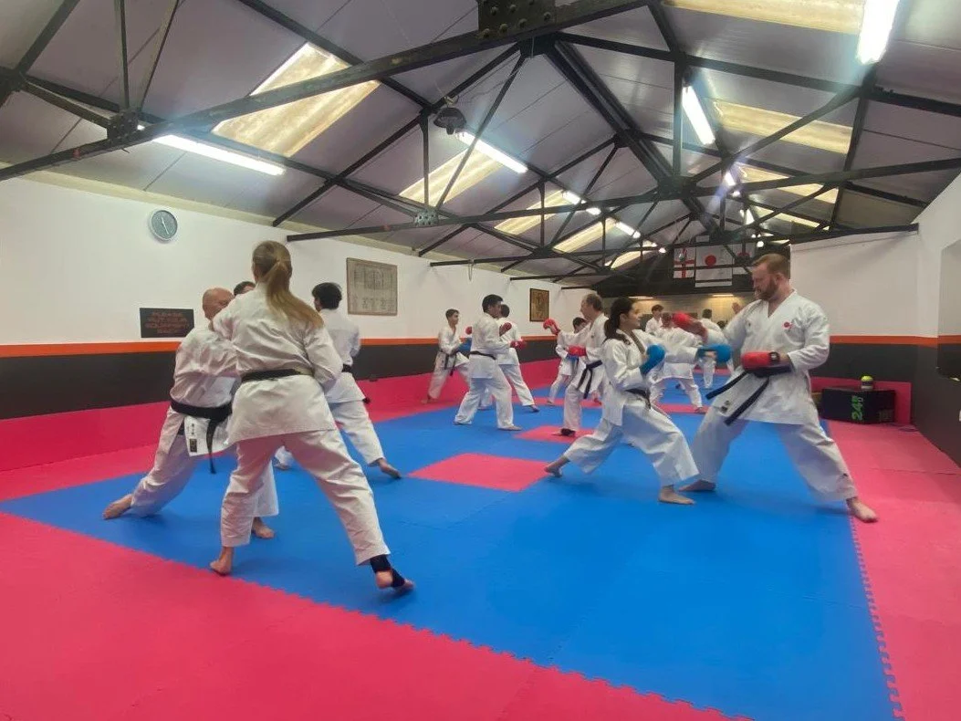 Stepping in mitts.jpg