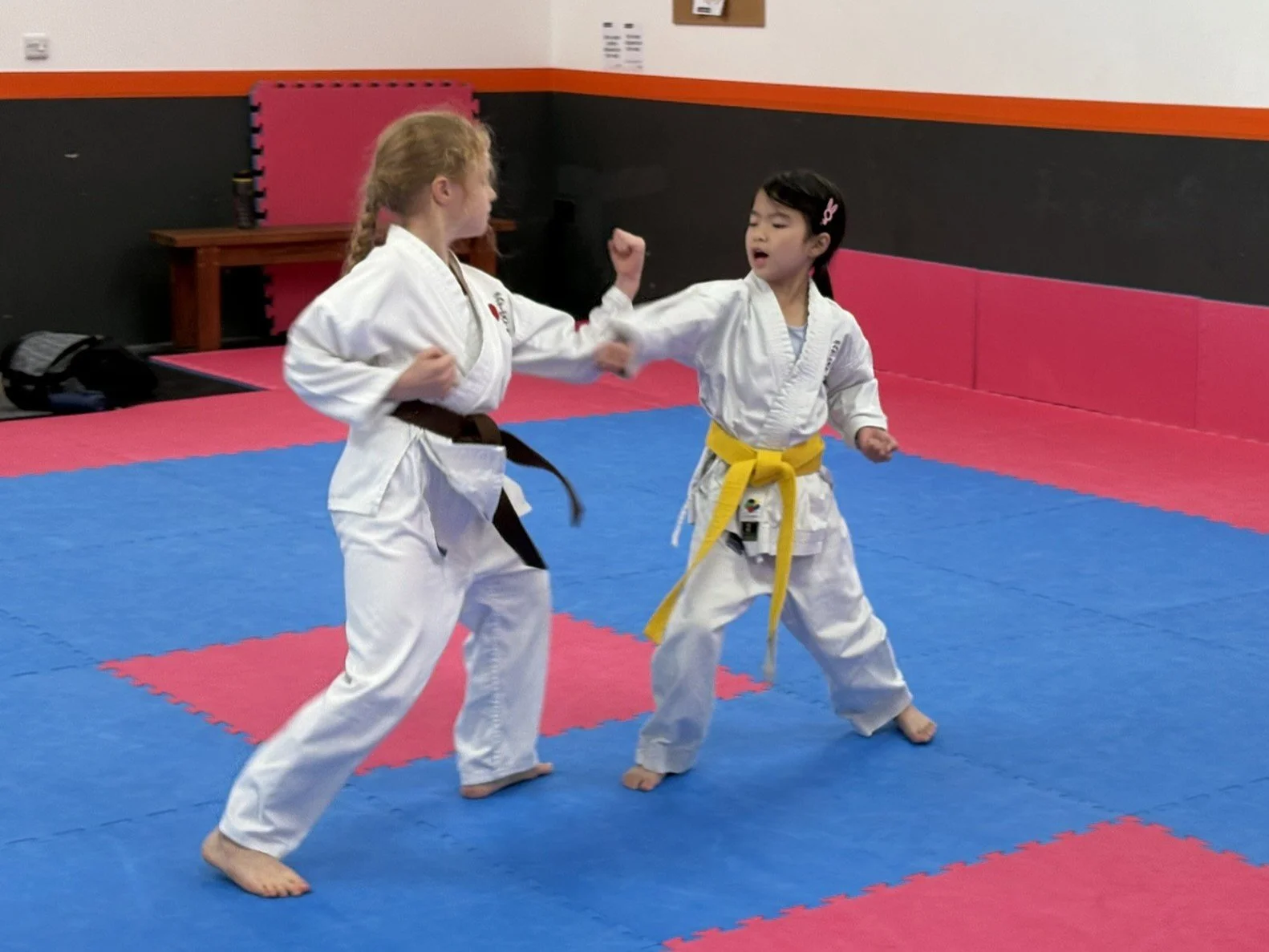 Yellow belt 1 step.JPEG