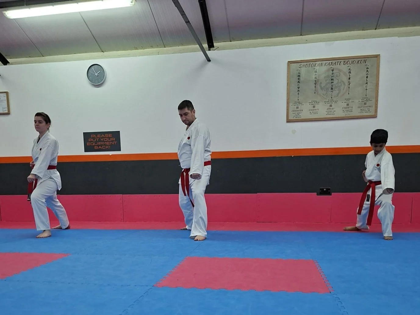 Red belt basics.jpeg