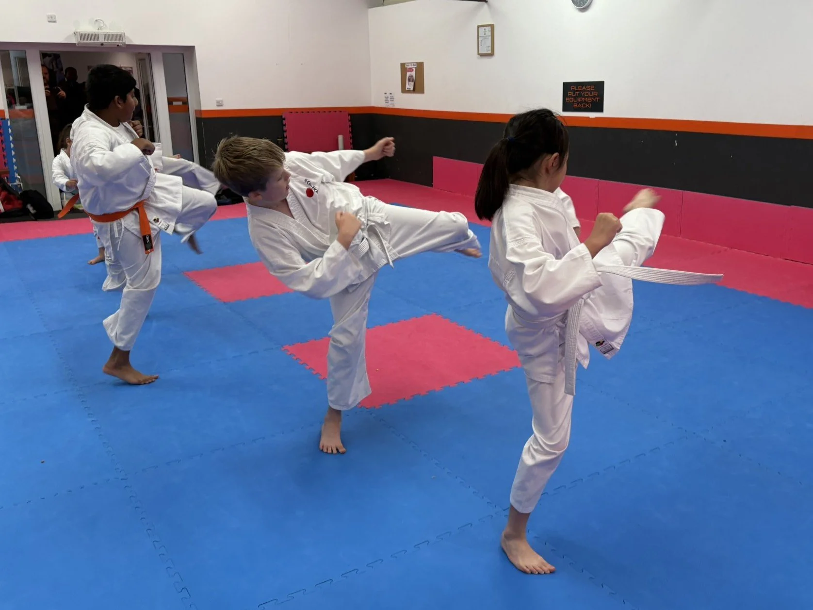 White belt kicks.JPEG