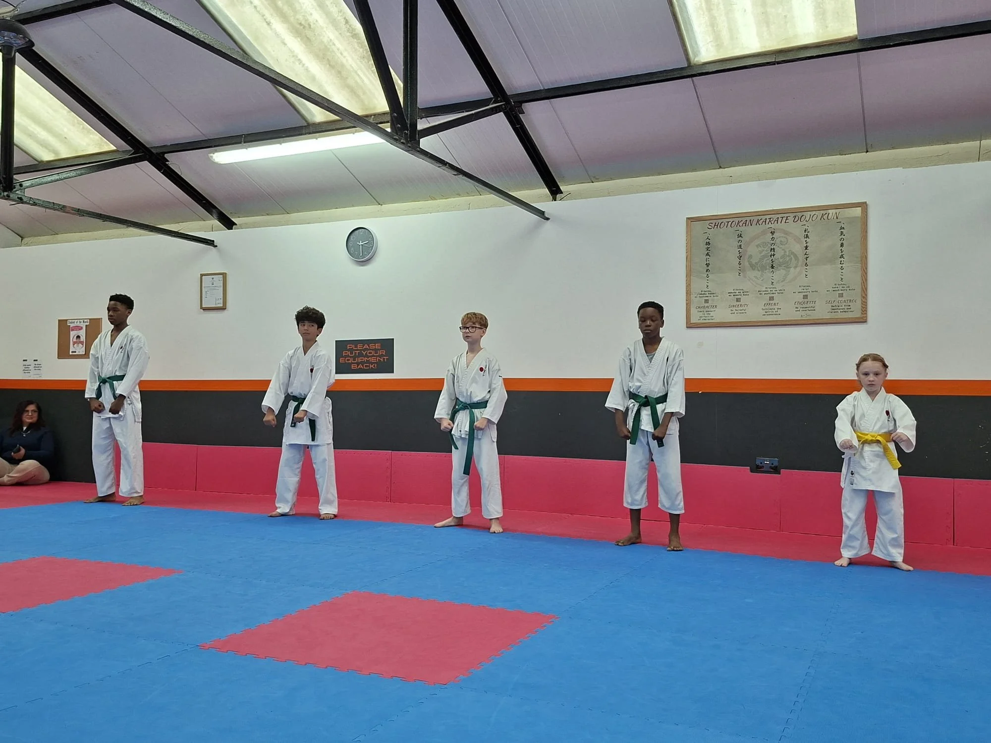 Green & Yellow line up.jpg