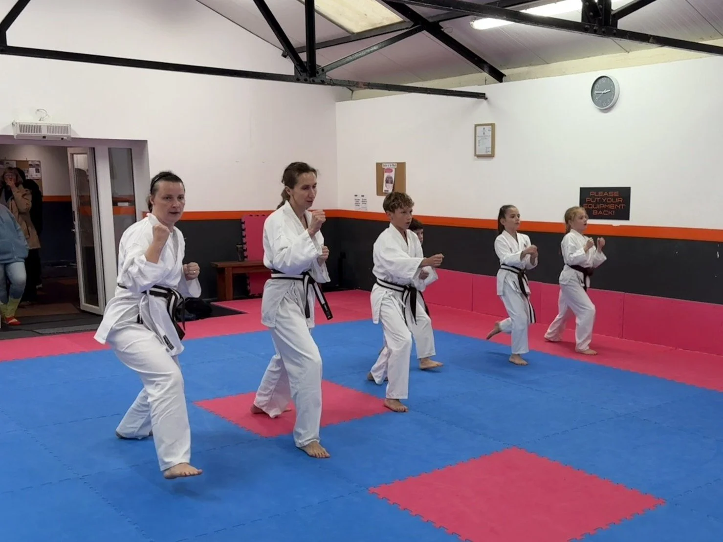 Brown belt basics.JPEG