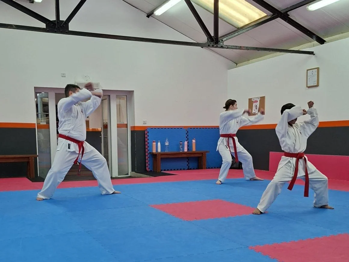 Red belt kata.jpeg