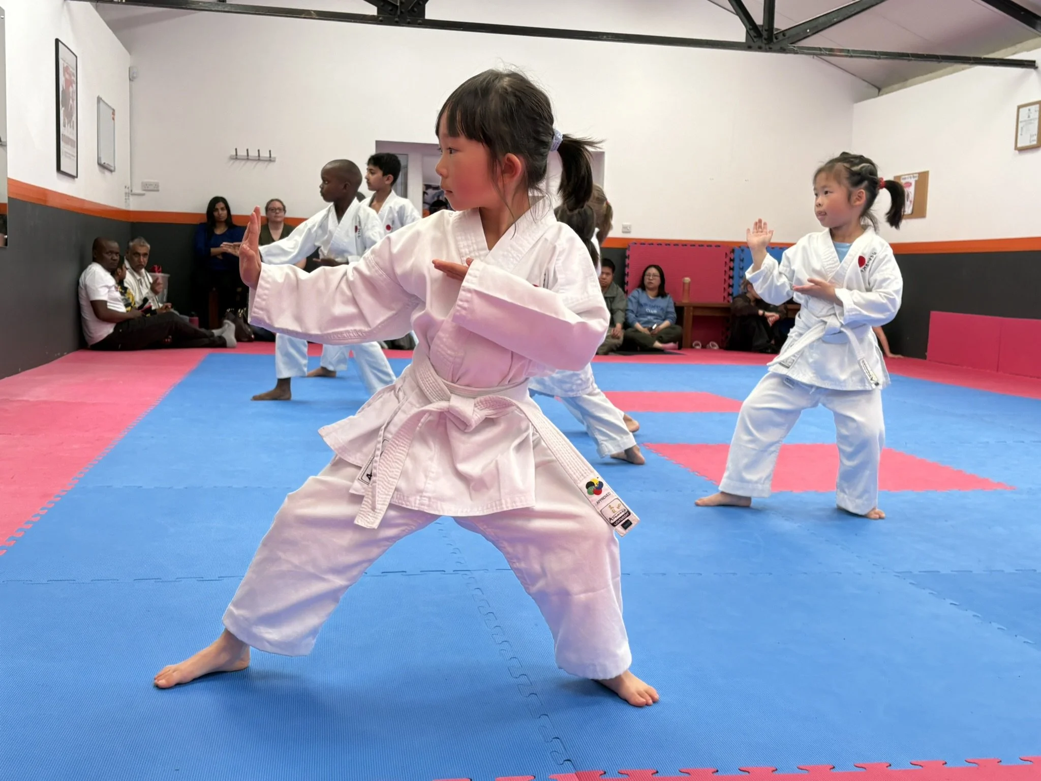 White belt shuto.JPEG