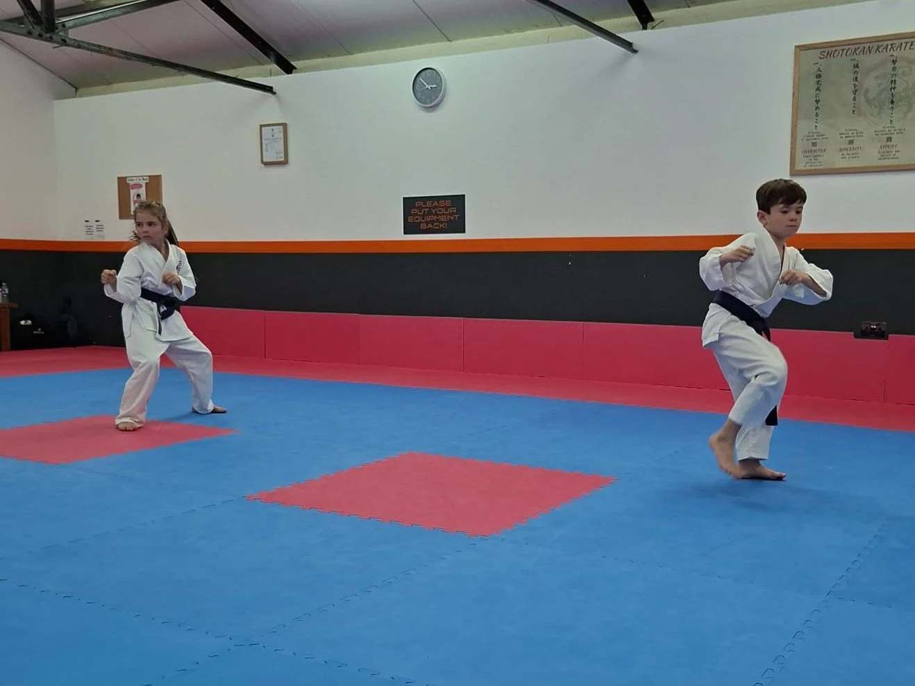 Purple belt basics edit.jpg