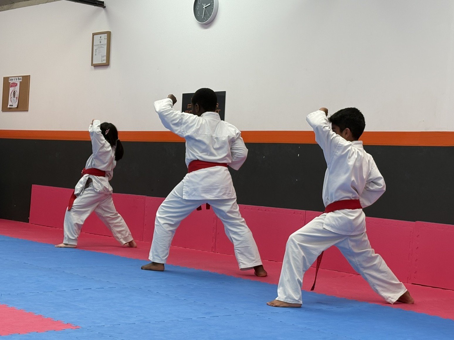 Red belt kata.JPEG