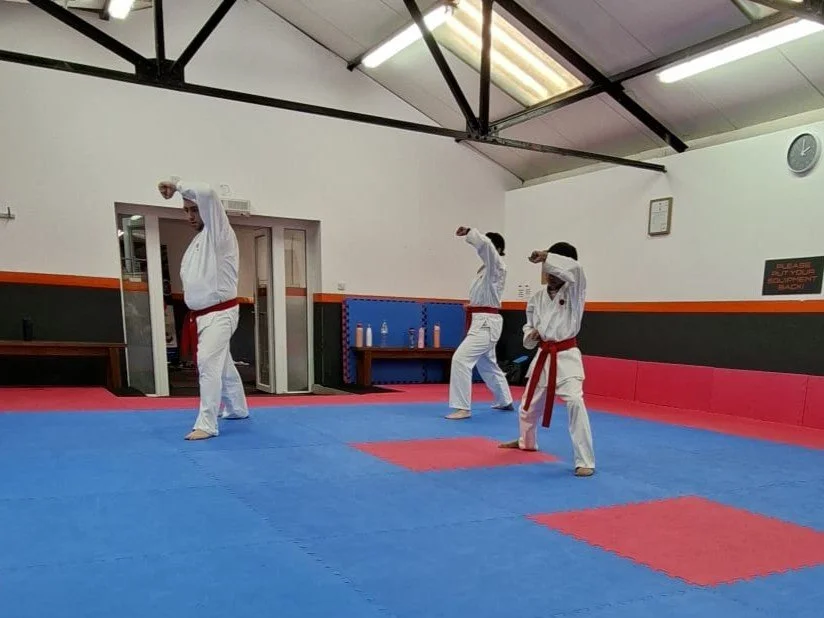 Red belt kata 2.jpeg