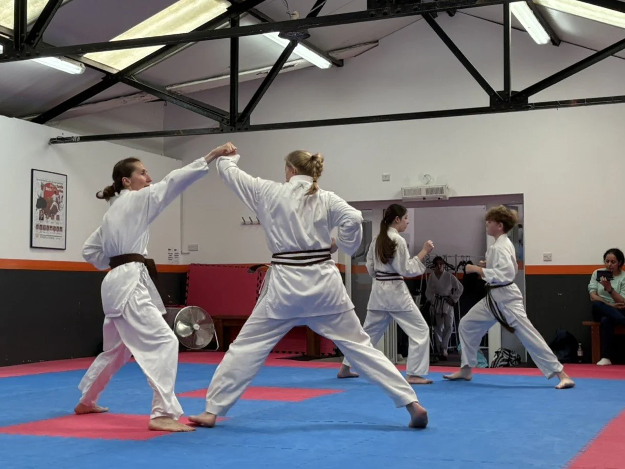 First kyu kumite (2).JPEG
