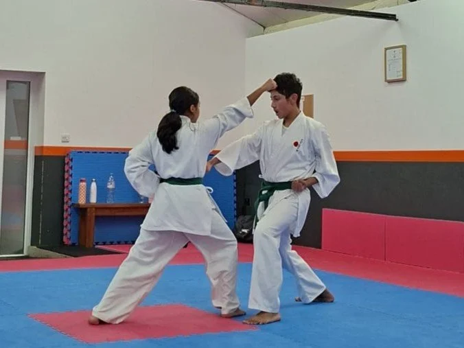 Green belt one step.jpeg