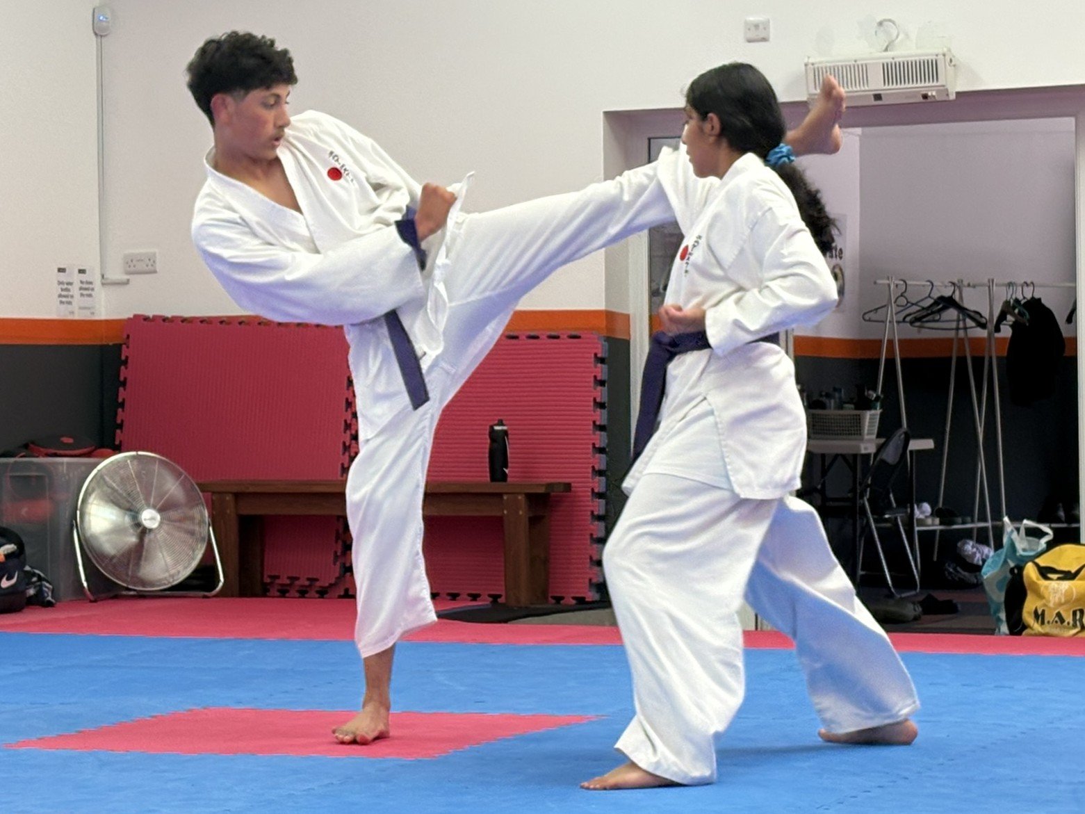 Purple kumite5.JPEG