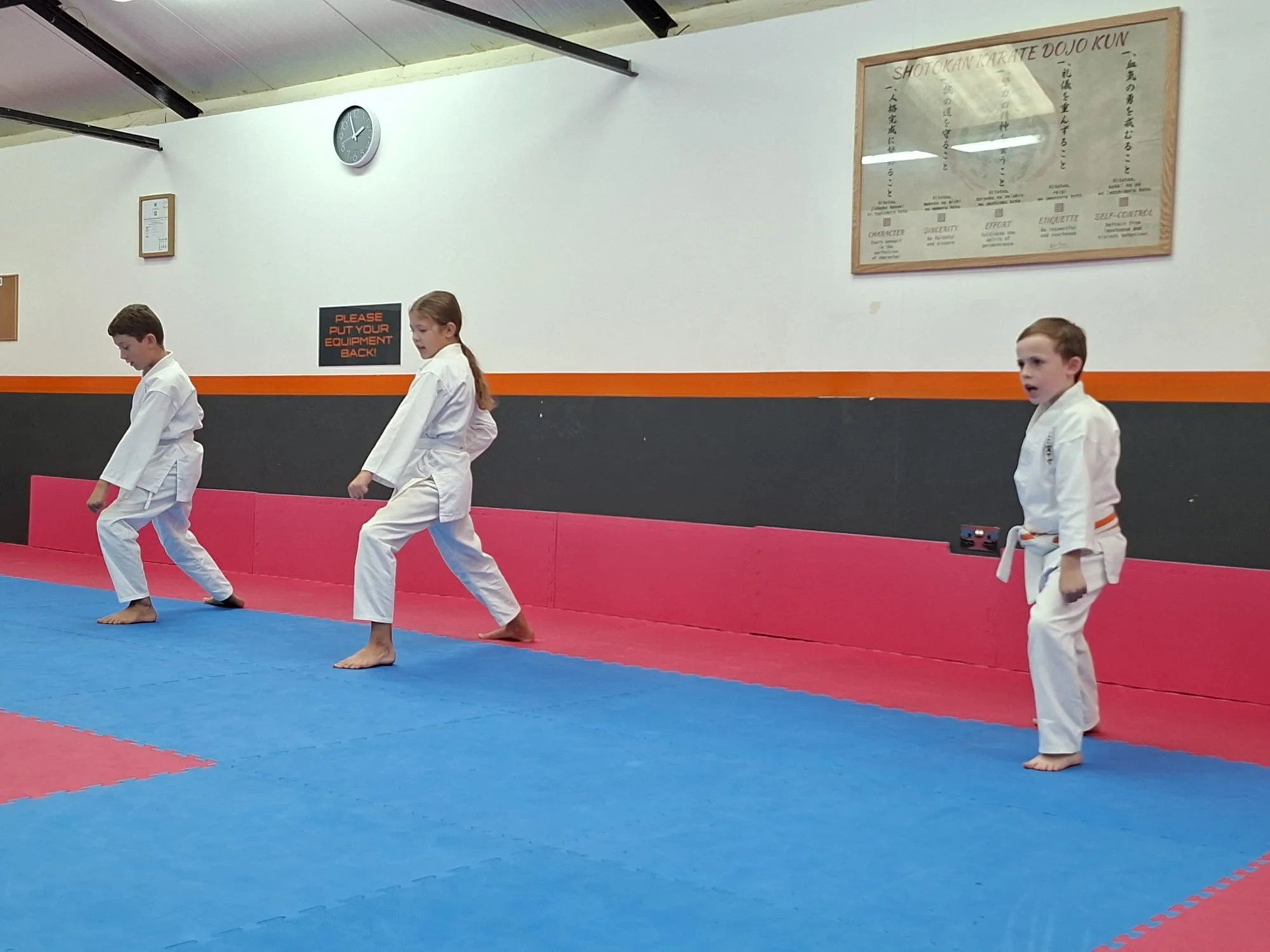White belt basics 2.jpg