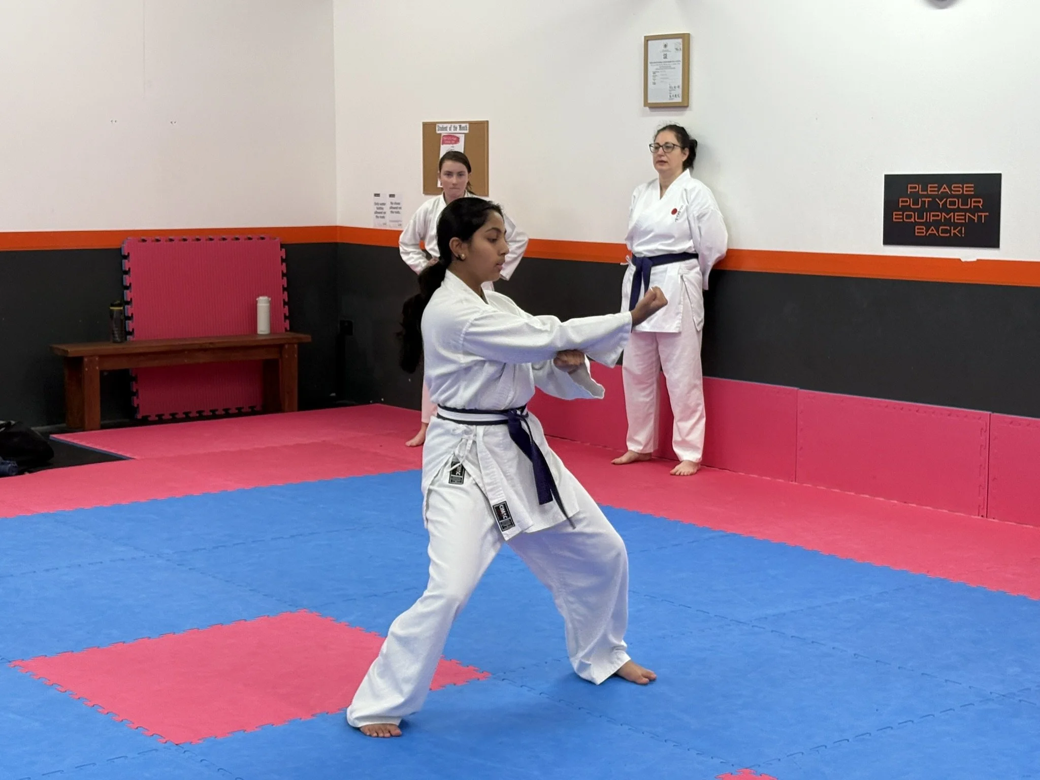 Purple ws Techi shodan.JPEG