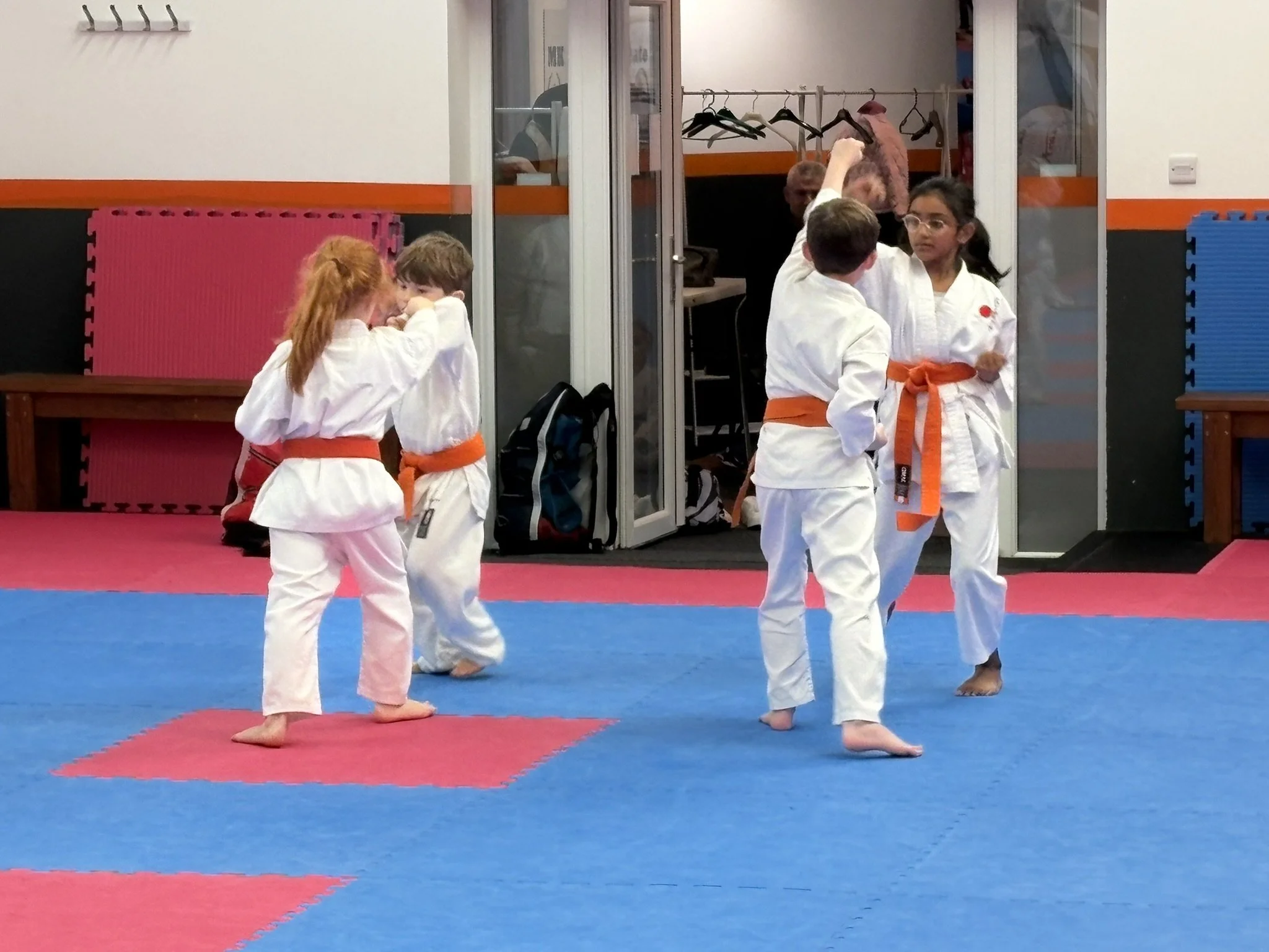 Orange belt 5 step 4.JPEG