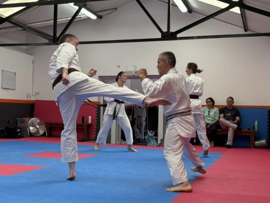 Brown women kumite (5).JPEG