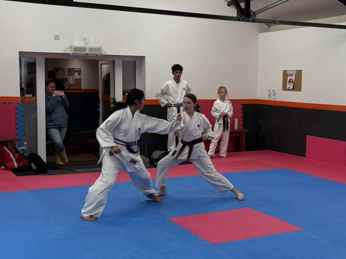 Brown belt jiu ippon.JPEG