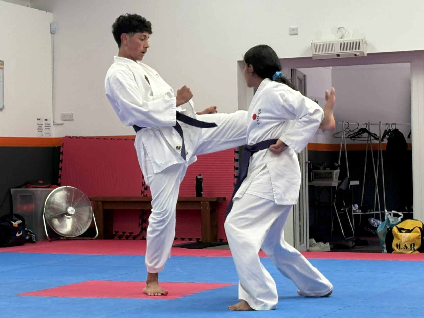 Purple kumite 3.JPEG