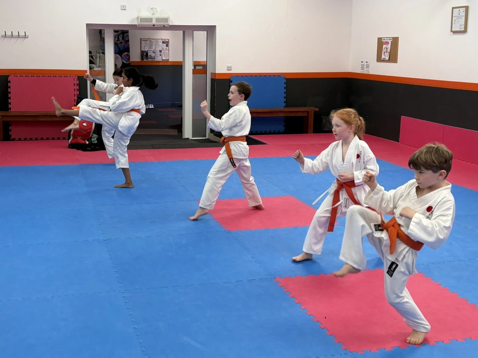 Orange belt kihon 3.JPEG
