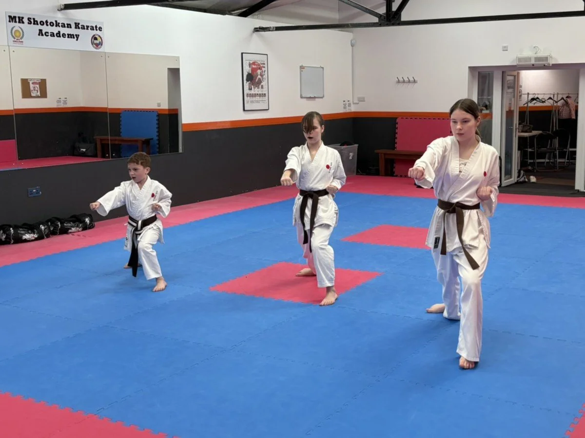 Brown belt kihon 2.JPEG