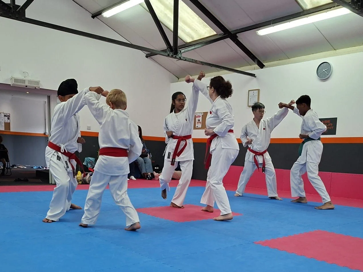 Red belt five step.jpg