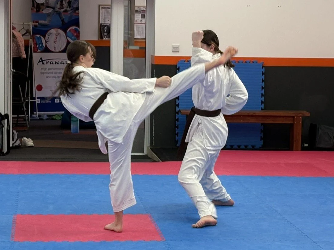 Brown belt 1 step 2.JPEG