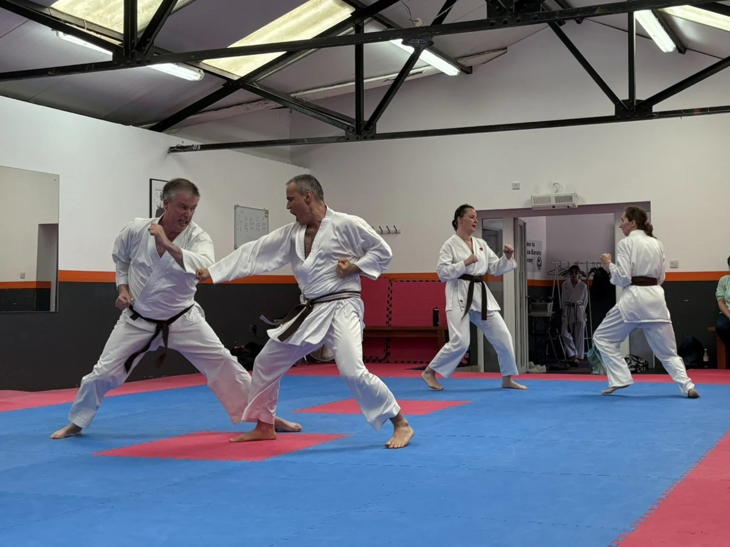 Brown women kumite (2).JPEG