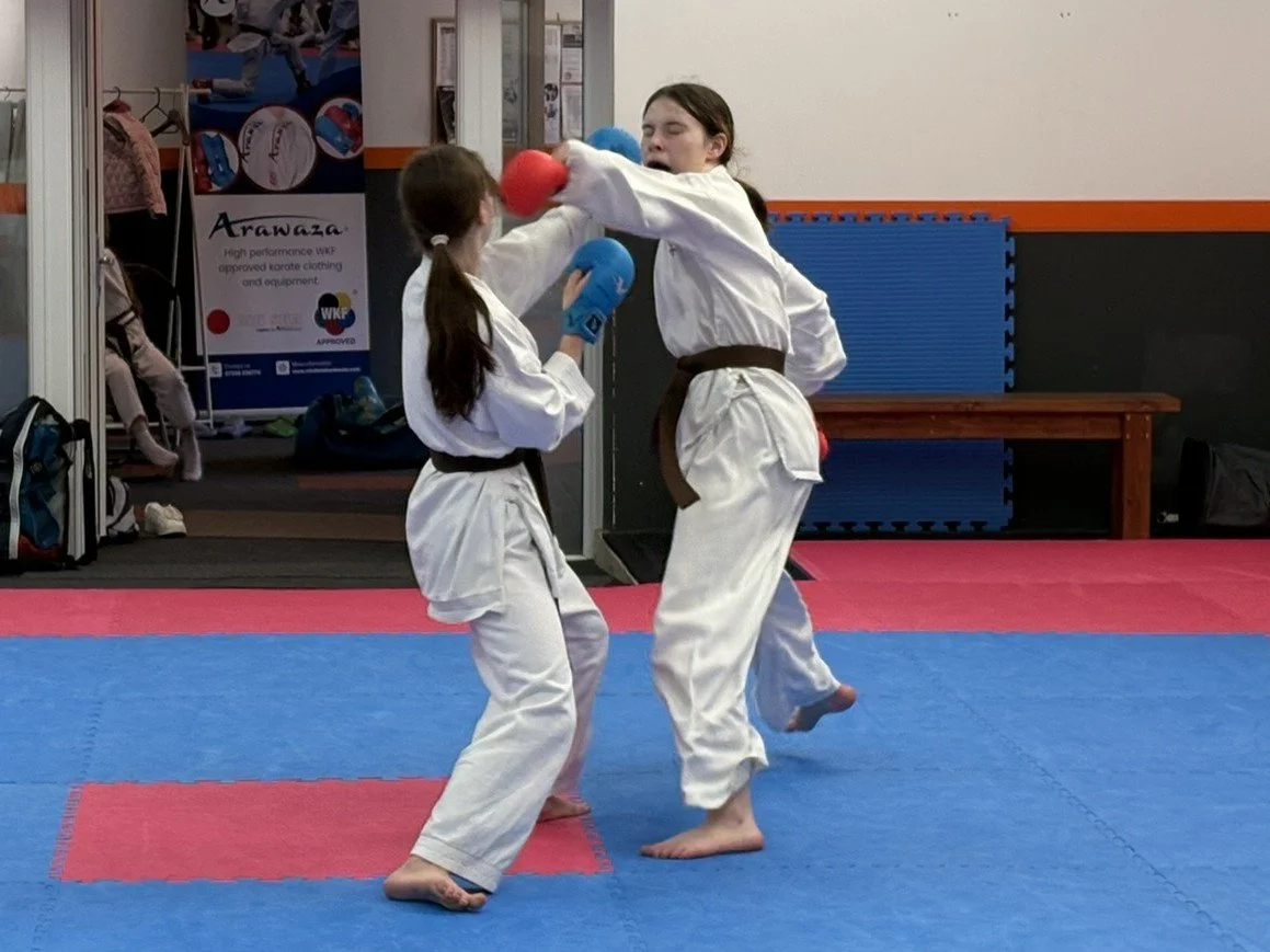 Brown belt kumite 2.JPEG