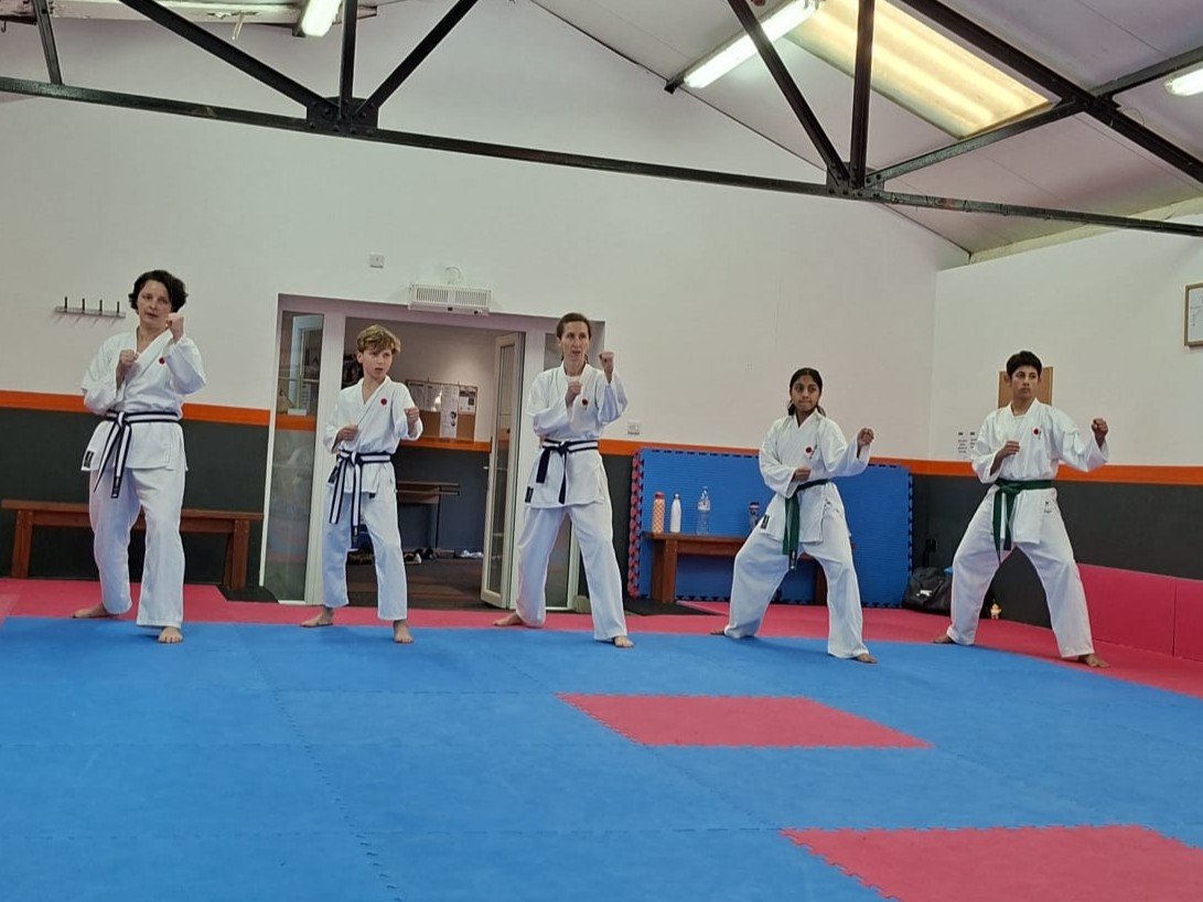 Green and purple kamae.jpeg