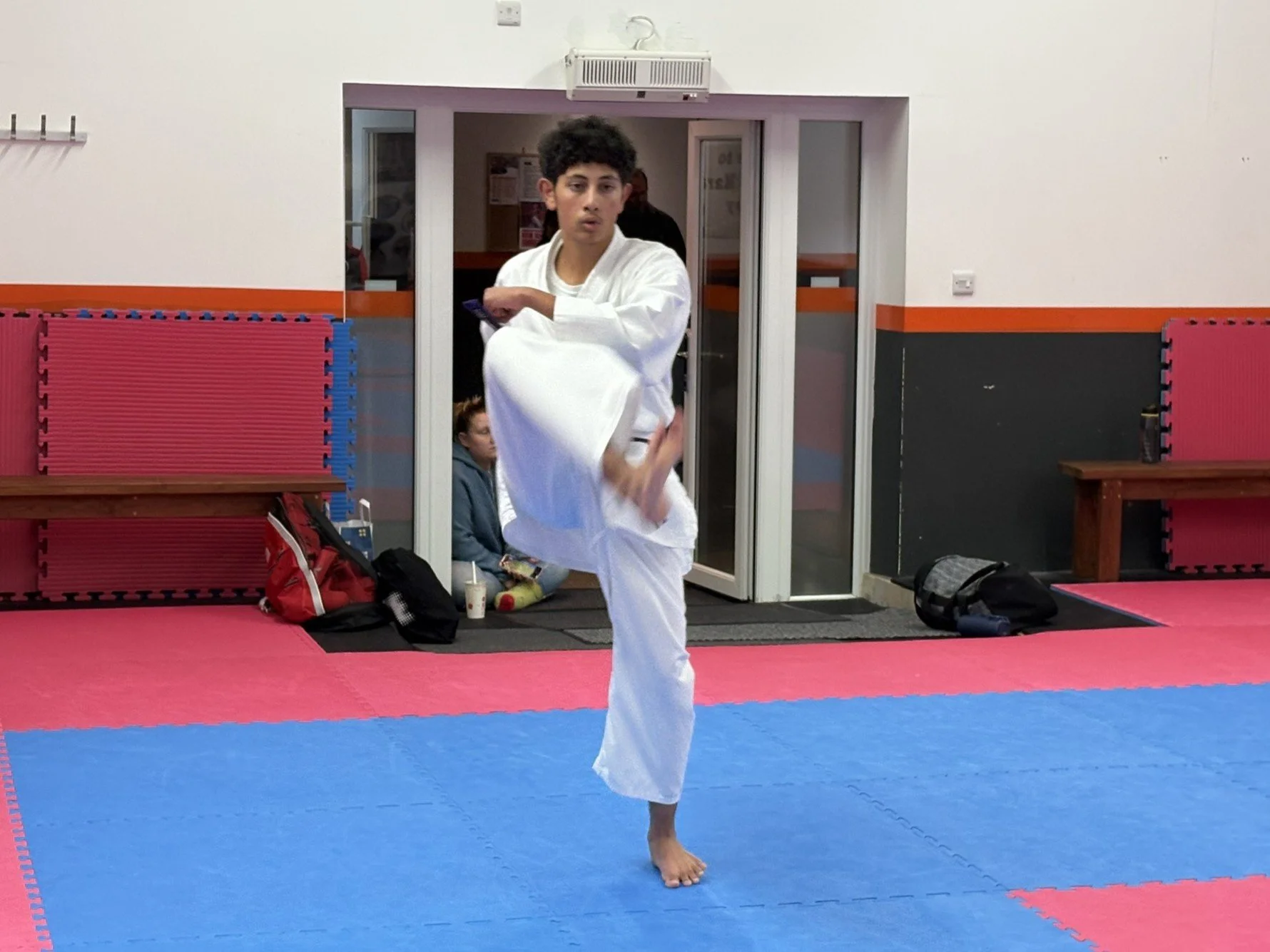 Purple ws teki shodan.JPEG