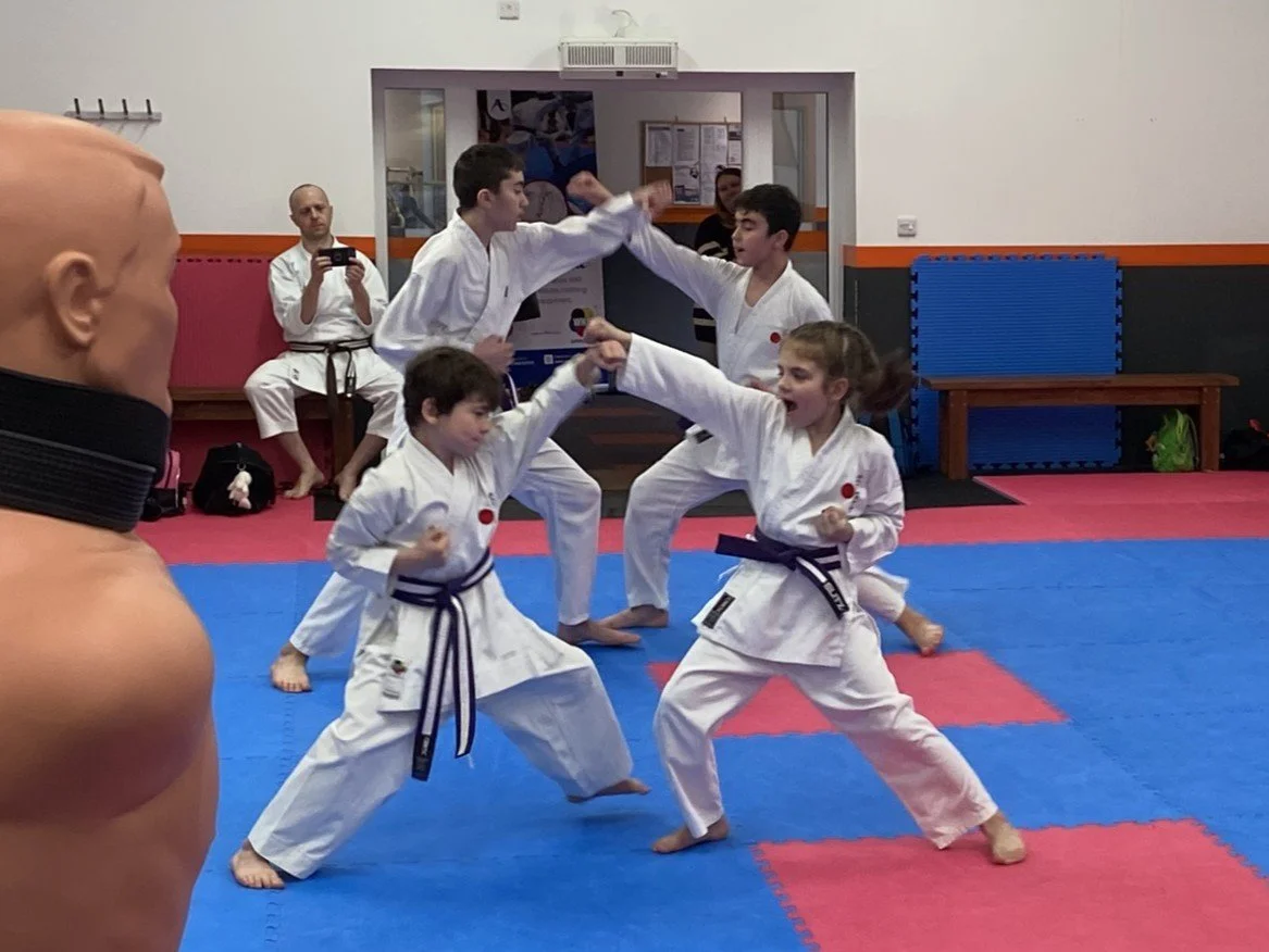 Purple w 1 step.JPEG