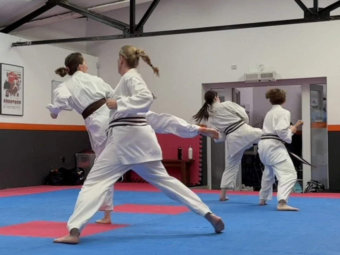 First kyu kumite (3).JPEG