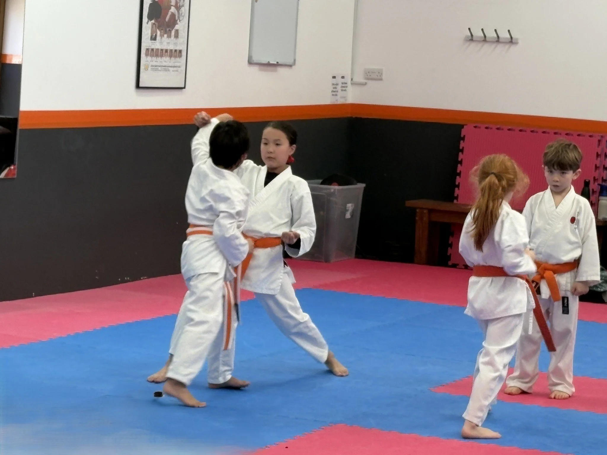 Orange belt 5 step 2.JPEG