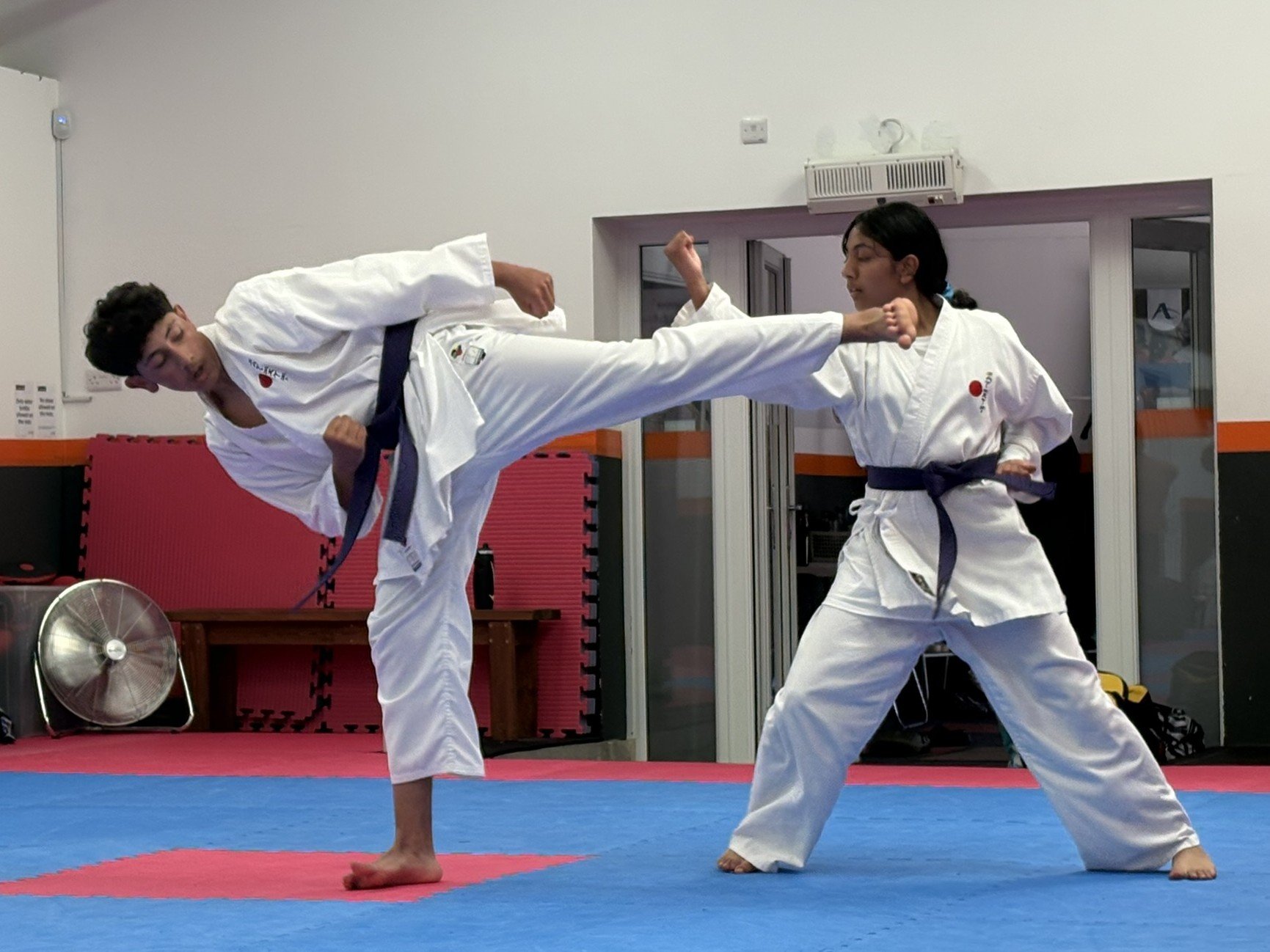 Purple kumite 4.JPEG