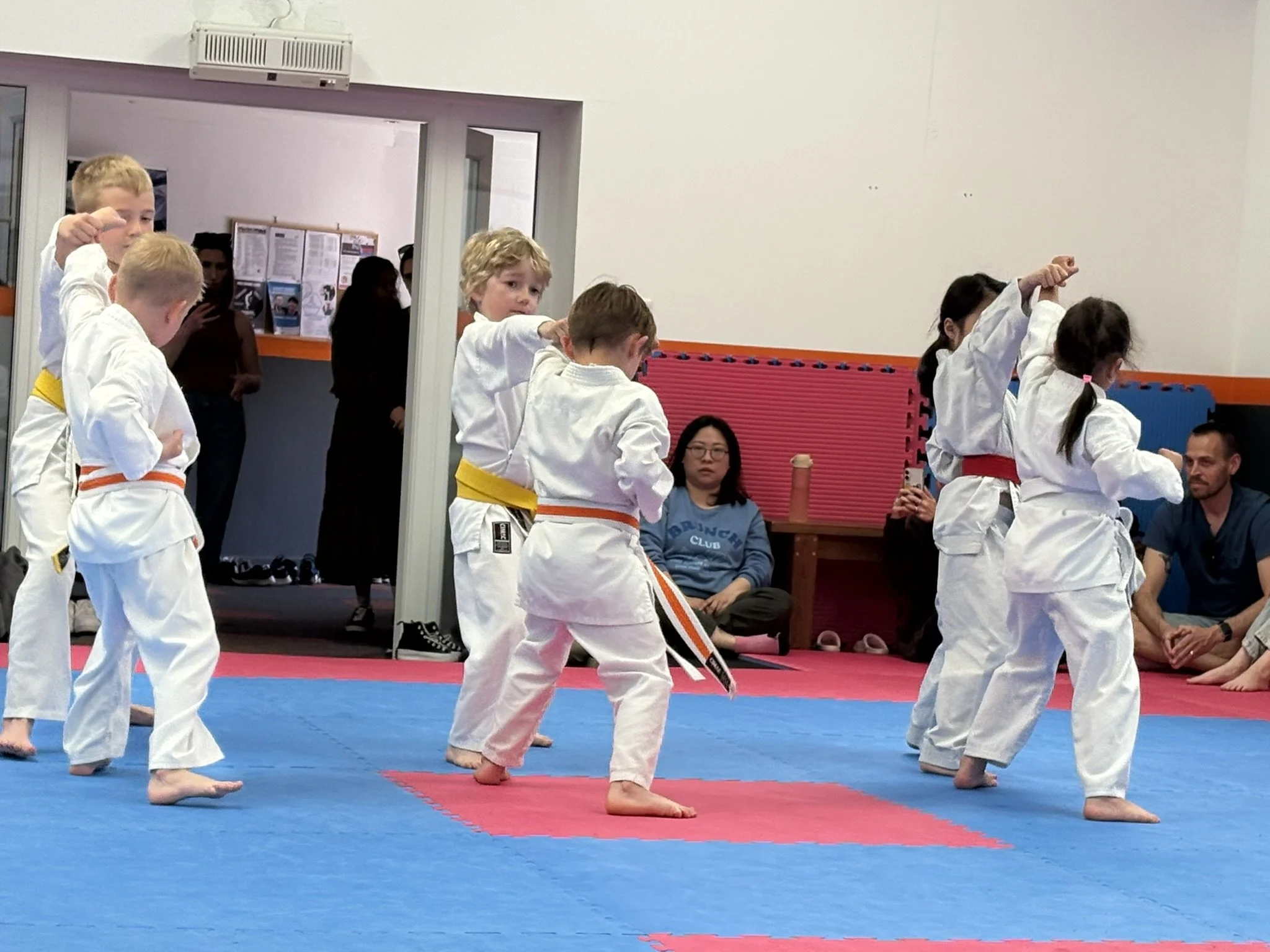 Orange stripe  5 step.JPEG