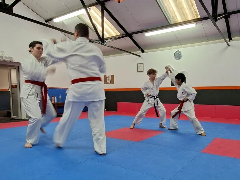 Red belt one step.jpeg