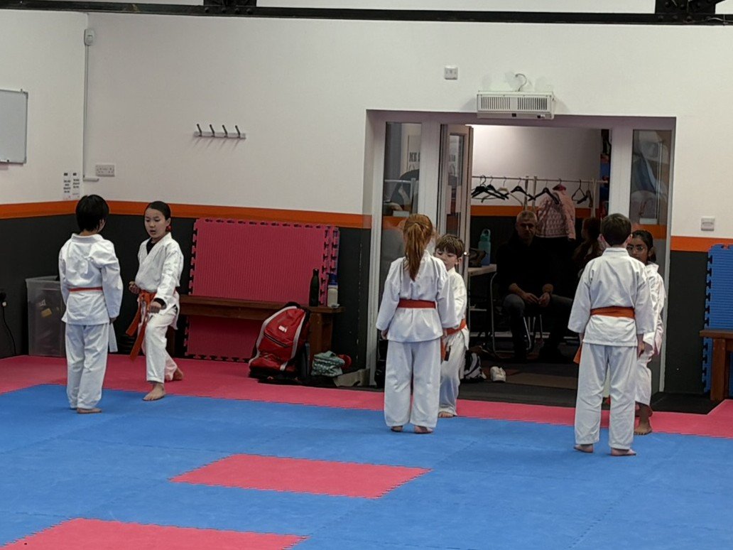 Orange belt 5 step.JPEG