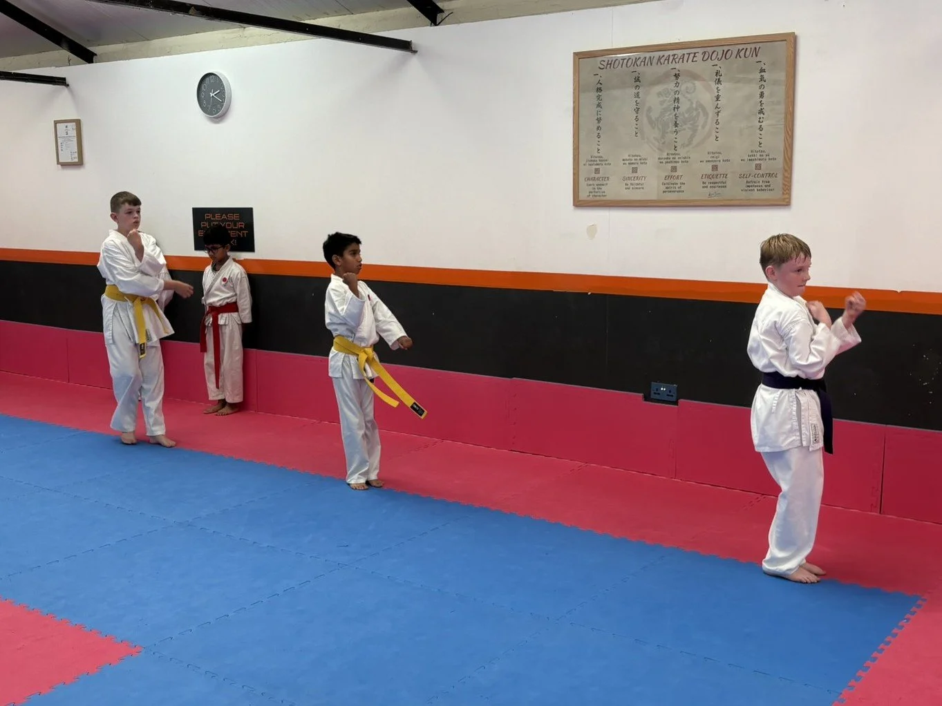 Yellow belt kata.JPEG