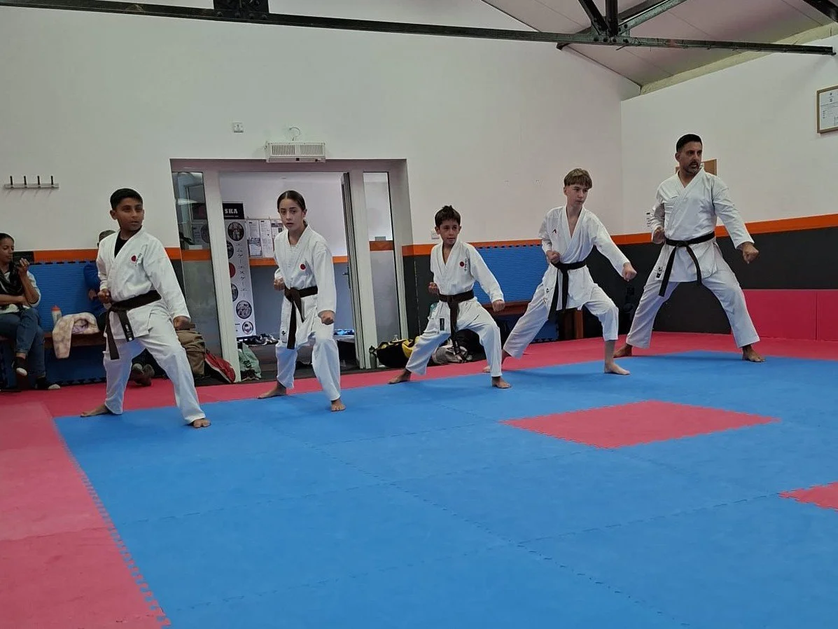 Brown belt basics.jpg