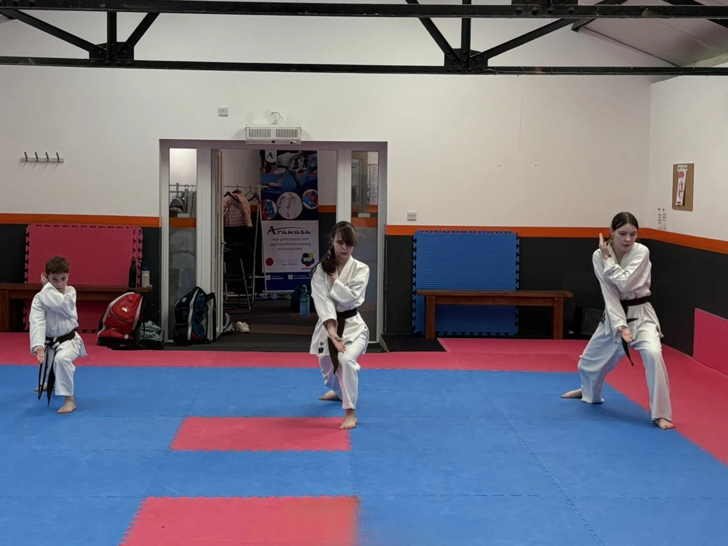 Brown belt kihon 5.JPEG