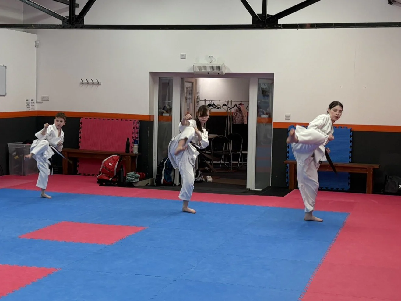 Brown belt kihon 4.JPEG